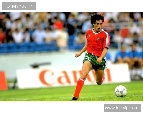 2015年足坛群星闪耀盘点世界顶级球星辉煌与荣耀时刻